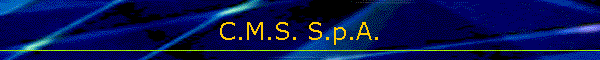 C.M.S. S.p.A.