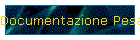 Documentazione Pesate